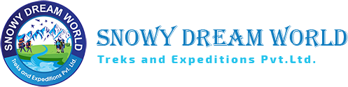 Snowy Dream World